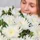 Хризантема "Анастасия" белая
