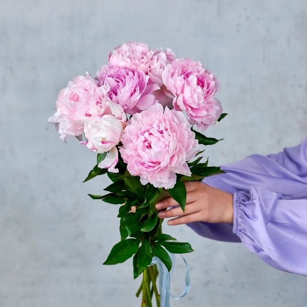 Букет из 7 пионов