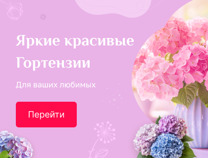 Гортензии